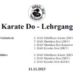 23-11-11-swo